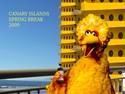 Big Bird Vacation