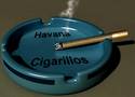 Cigarillo