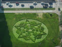 Holy Crop Circle Batman!