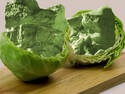 Iceberg Lettuce