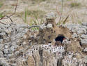 Cliff Side Cave Homes