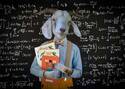 A smart goat