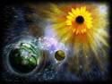 Sunflower system