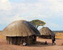 Mushroom Hut