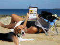 Reading on the beach