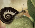 Snailcase