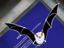 blue screen bat