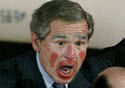 Im am no clown (bush)