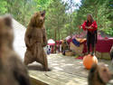 BEARFEST