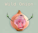 Wild onion