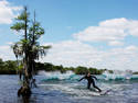 surfing