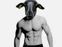 Buh Buh Buffed Sheep